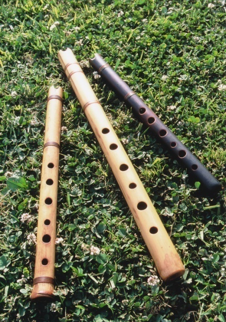 ケーナとケナティカ Amazon | 【LUPACA QUENACHO 'D' PRO TYPE1】ルパカ社のプロ用